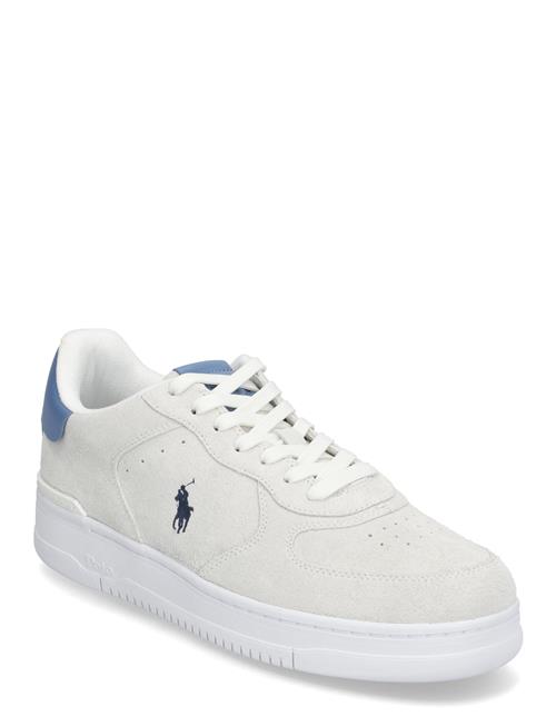 Masters Court Suede Sneaker Polo Ralph Lauren White