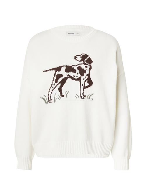 HOLLISTER Pullover  brun / khaki / hvid