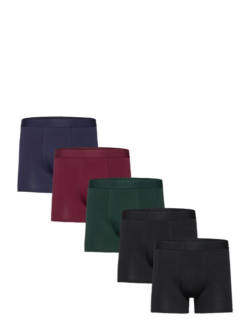 Bo.5P Tonal Boxer Frank Dandy Black