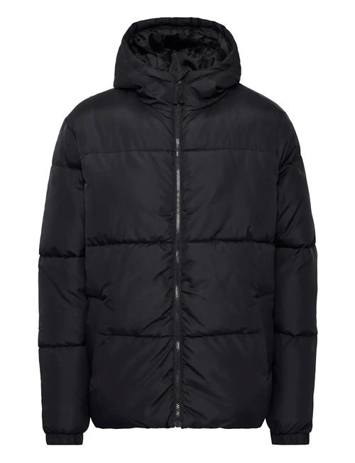 Bhelwin Hood Jacket Blend Black