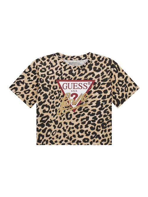 GUESS Bluser & t-shirts  beige / rød / sort / hvid