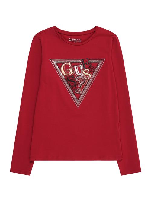 GUESS Bluser & t-shirts  guld / rød / sort