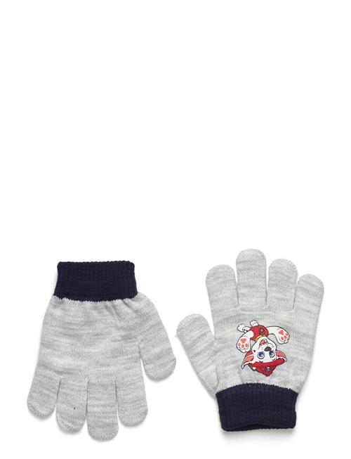 Gloves Paw Patrol Grey