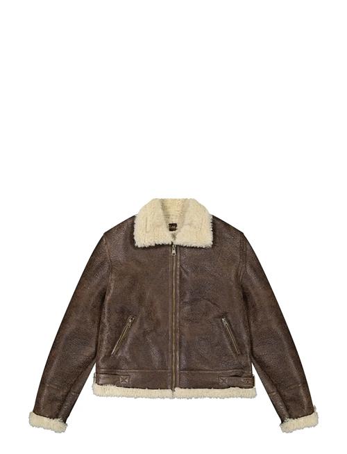 Aviator Jacket Lee Jeans Brown