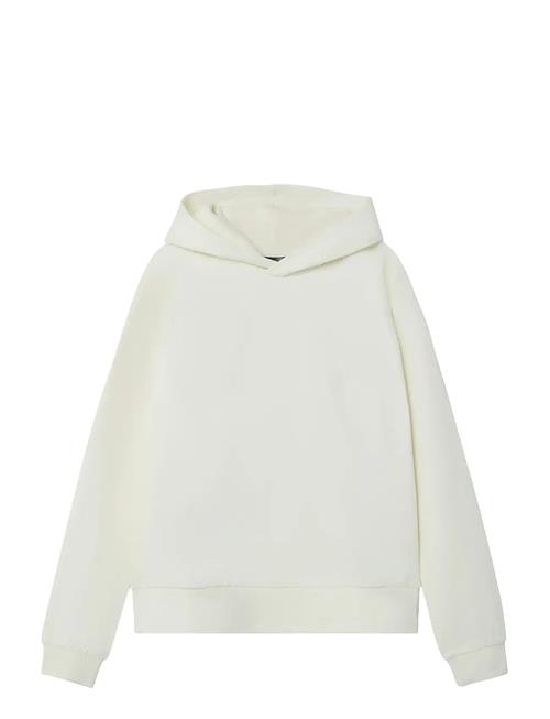 Nlfherry Ls Sweat W Hood LMTD Cream