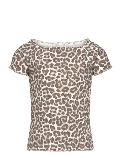 Top Rib With Curly Hem And Aop Lindex Brown