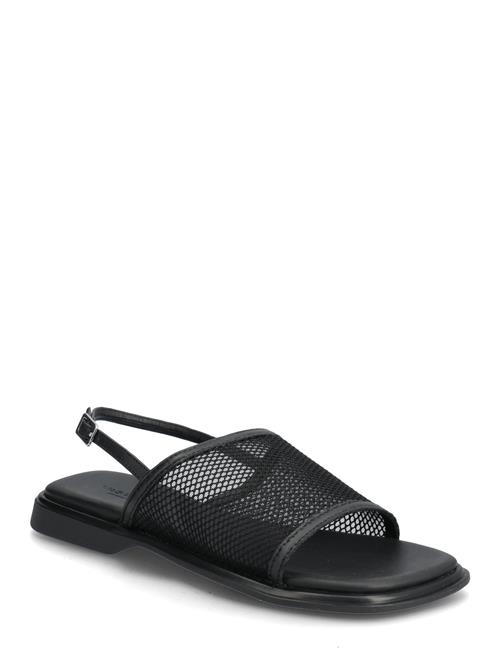 Izzy VAGABOND Black
