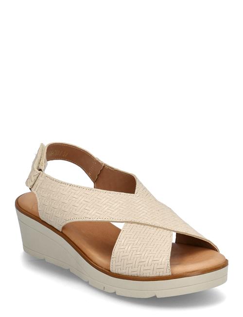 Ivy Dasia Beige
