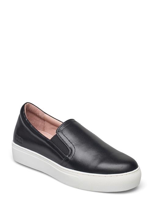 Starlily Dasia Black