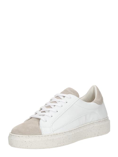 STEVE MADDEN Sneaker low 'Vasile'  camel / hvid