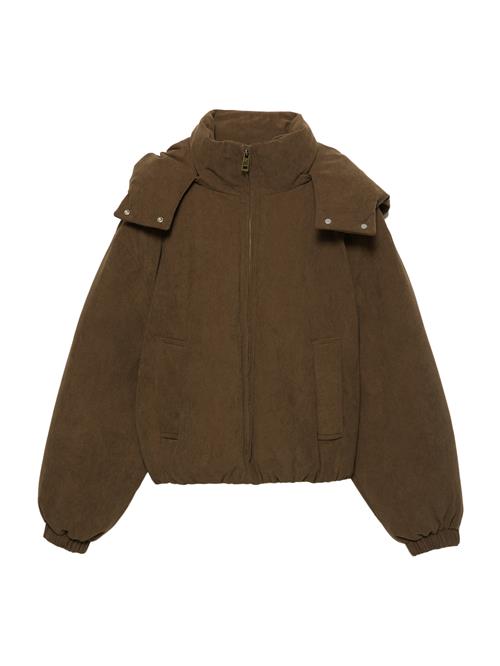 Pull&Bear Vinterjakke 'PACIFIC'  brun