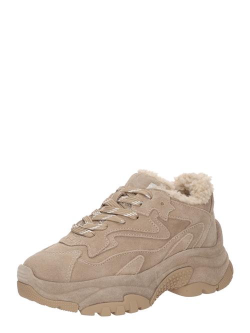 ASH Sneaker low 'ADDICTBIFUR2'  beige