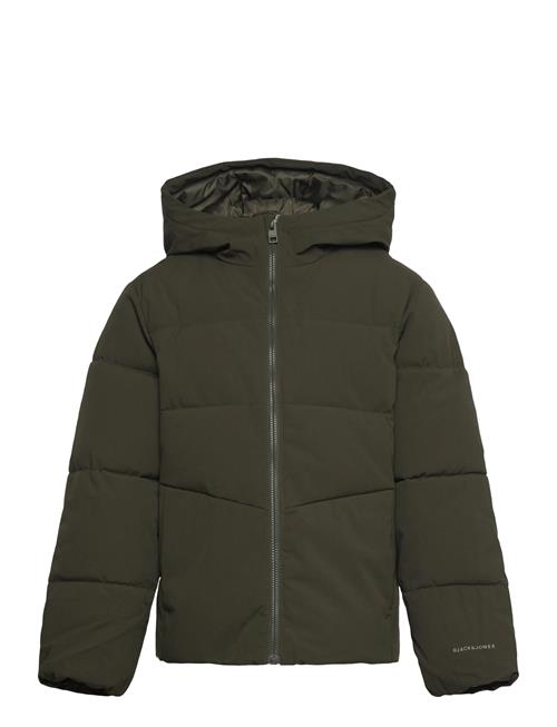Jack & Jones Jjglobal Puffer Jacket Mni Jack & J S Khaki