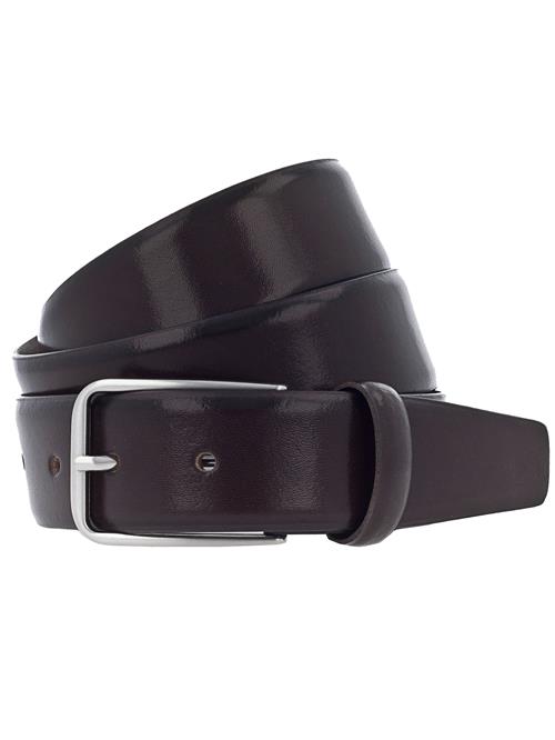 VANZETTI Bælte  mørkebrun