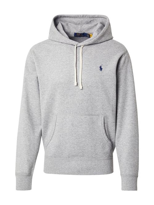 Polo Ralph Lauren Sweatshirt  navy / grå