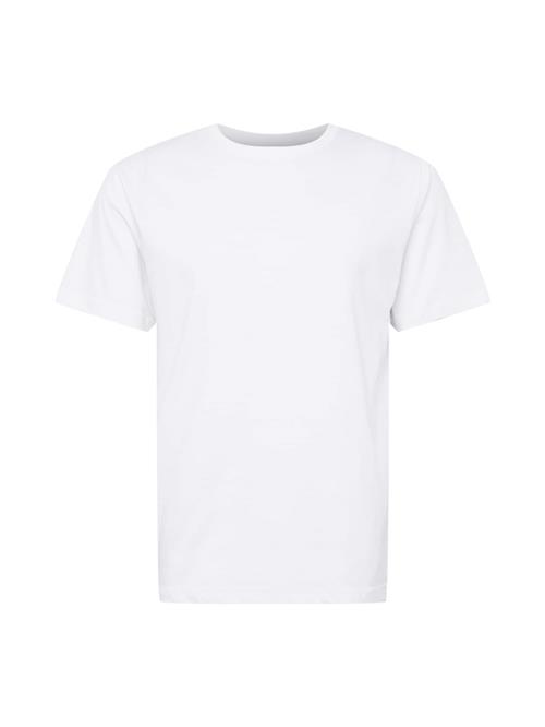 TOM TAILOR Bluser & t-shirts  hvid