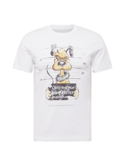 EINSTEIN & NEWTON Bluser & t-shirts  cognac / lysegrå / græsgrøn / sort / hvid