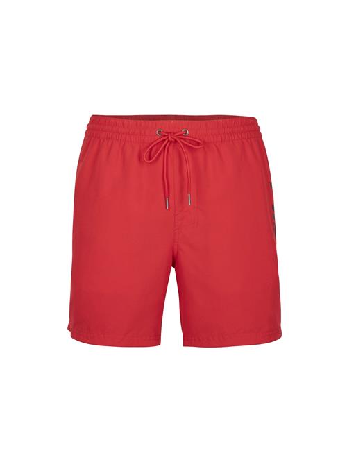 O'NEILL Badeshorts 'Cali'  rød