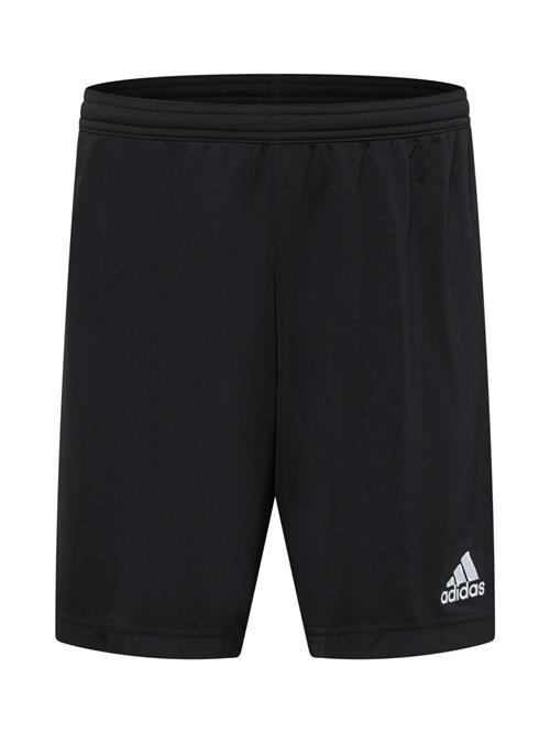 ADIDAS PERFORMANCE Sportsbukser 'Entrada 22'  sort / hvid