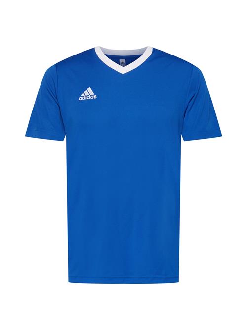 ADIDAS PERFORMANCE Funktionsskjorte 'Entrada 22'  blå / hvid