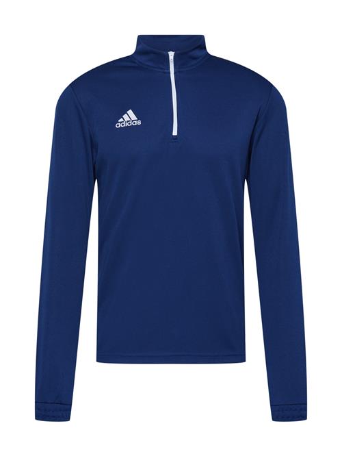 ADIDAS PERFORMANCE Sportsweatshirt 'Entrada 22'  blå / hvid