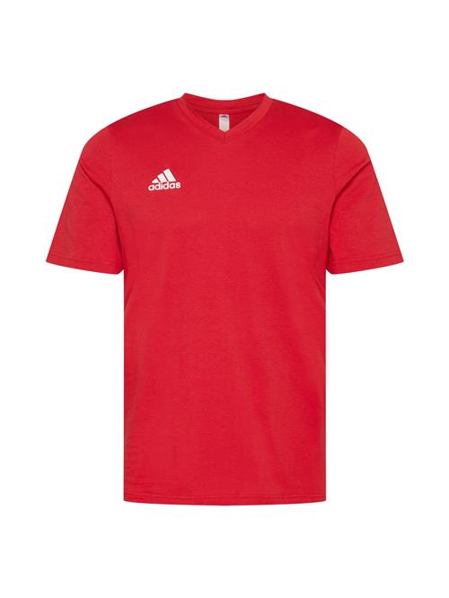 ADIDAS PERFORMANCE Funktionsskjorte 'Entrada 22'  rød / hvid