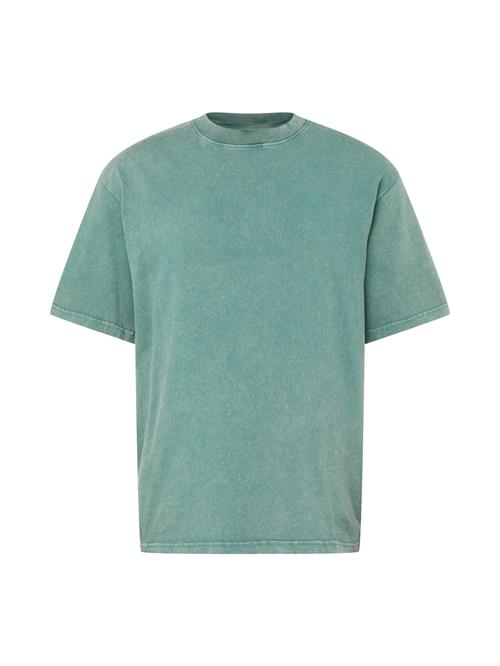 Redefined Rebel Bluser & t-shirts 'Gomes'  grøn