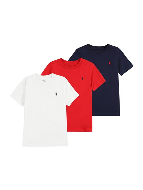 Polo Ralph Lauren Shirts  blå / rød / hvid