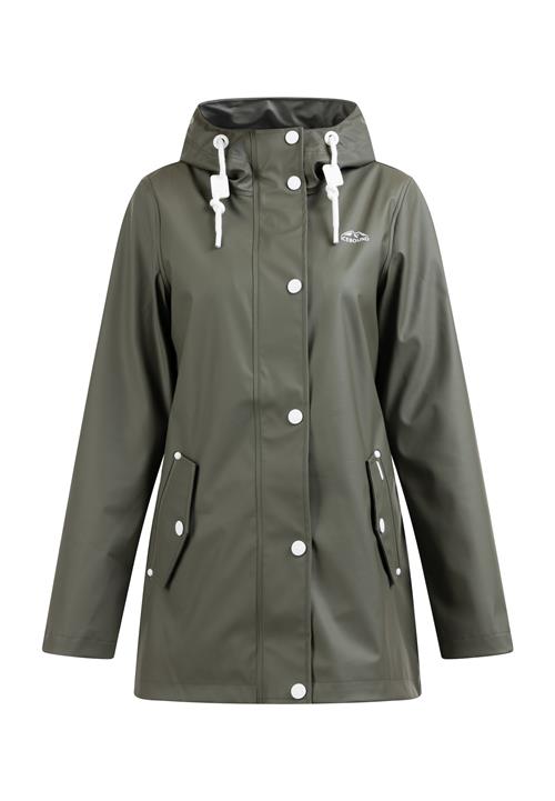 ICEBOUND Funktionsjakke  lysegrå / oliven