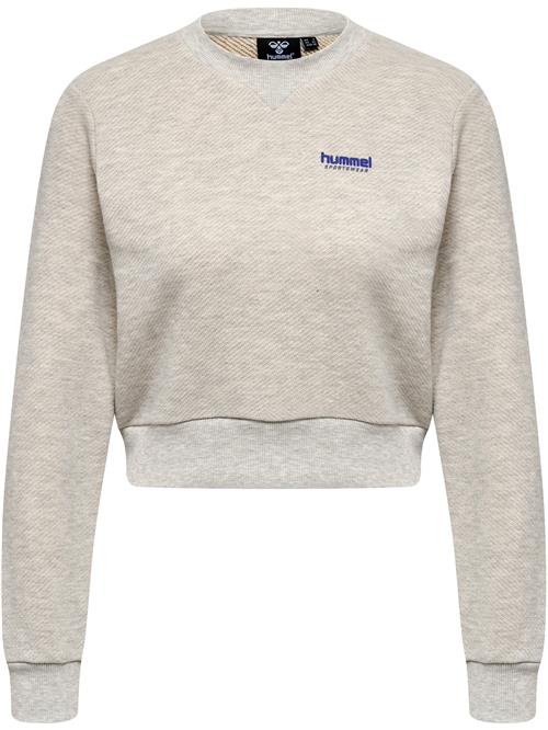 Hummel Sportsweatshirt  blå / taupe