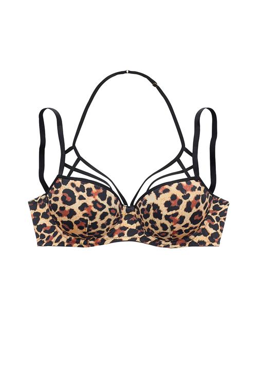 PETITE FLEUR GOLD BH  rustbrun / cappuccino / sort