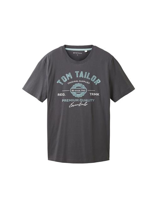 TOM TAILOR Bluser & t-shirts  himmelblå / mørkegrå / naturhvid