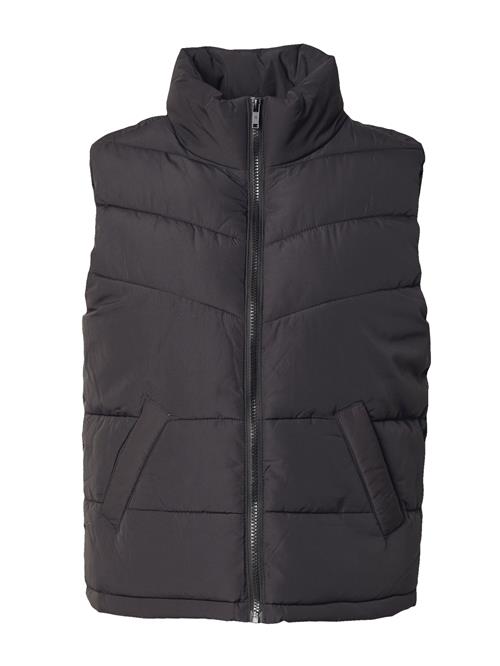 Noisy may Vest 'Dalcon'  sort