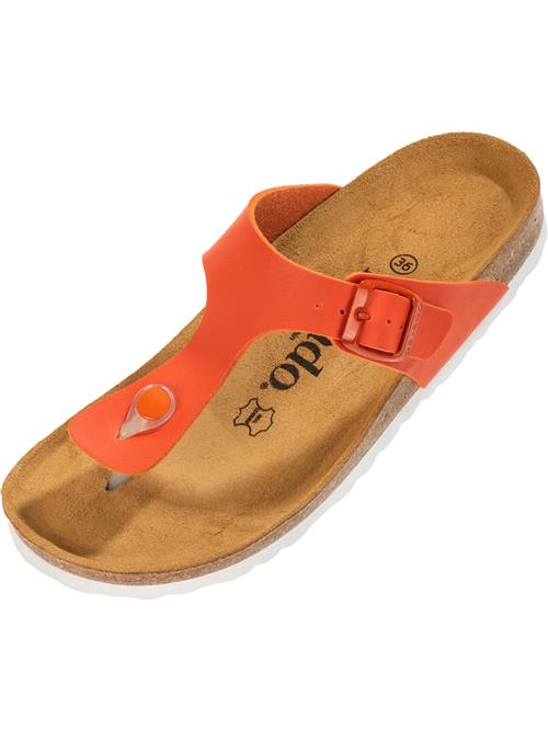 Palado Klipklappere 'Kos'  orange