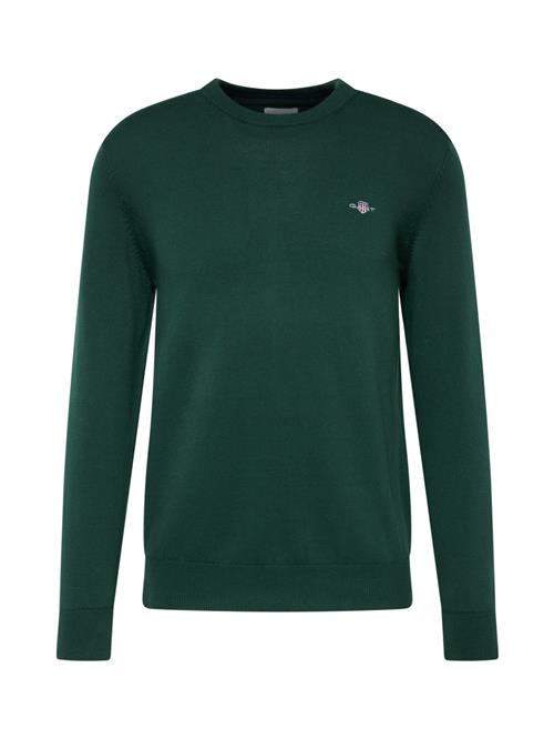 GANT Pullover  blå / mørkegrøn / rød / hvid