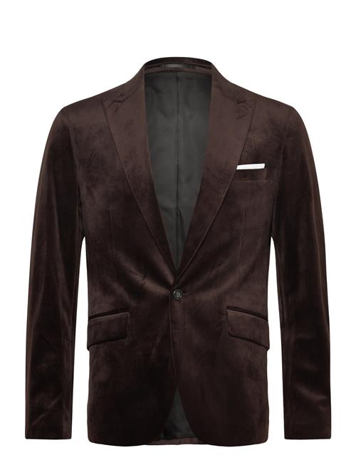 Velvet Blazer Lindbergh Brown