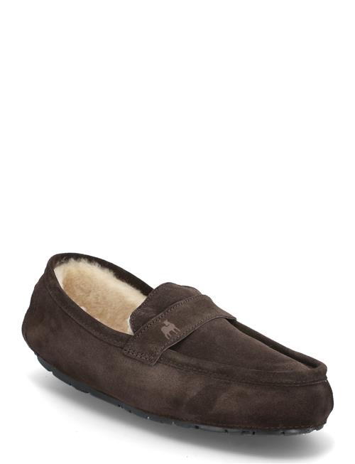 Denver Skor Shepherd Brown