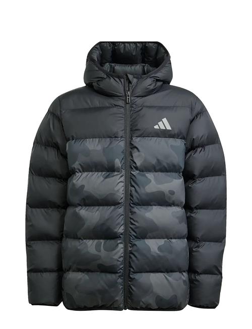 J Sd Aop Jkt Adidas Sportswear Black