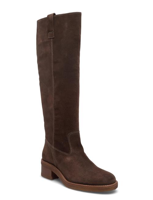 Long Boots Billi Bi Brown