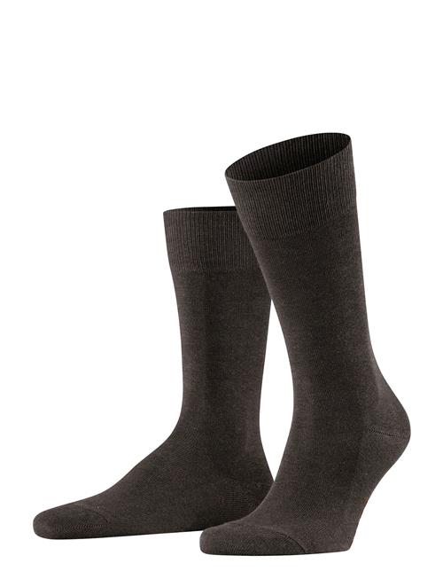 Family Everyday Casual Falke Brown