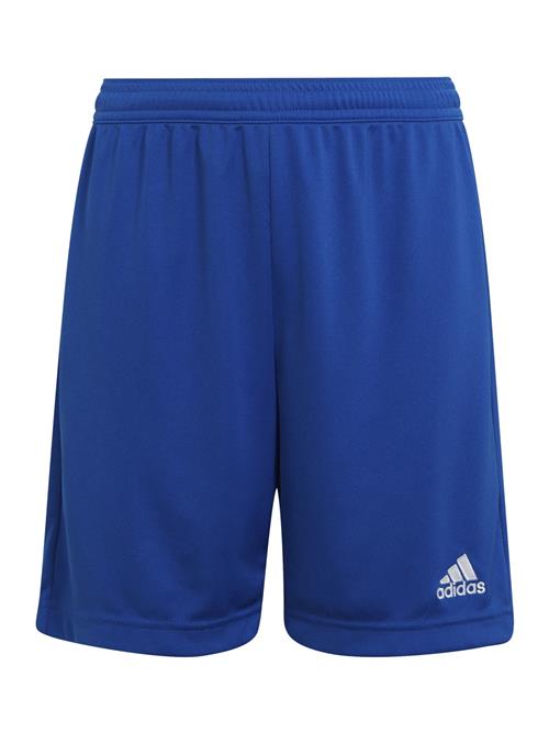 ADIDAS PERFORMANCE Sportsbukser 'Entrada 22'  mørkeblå / hvid