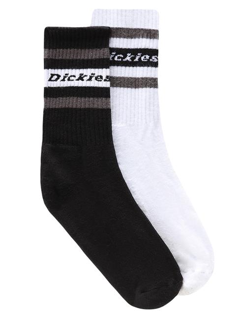 DICKIES Sokker 'Genola'  taupe / sort / hvid