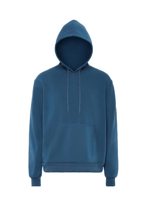 ALEKO Sweatshirt  blå