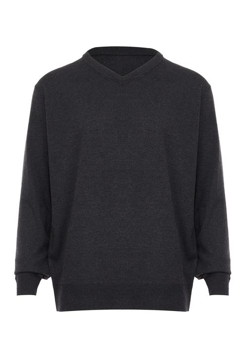 RAIDO Pullover  mørkegrå