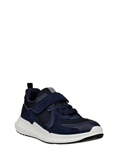 Biom 2.2 K ECCO Navy
