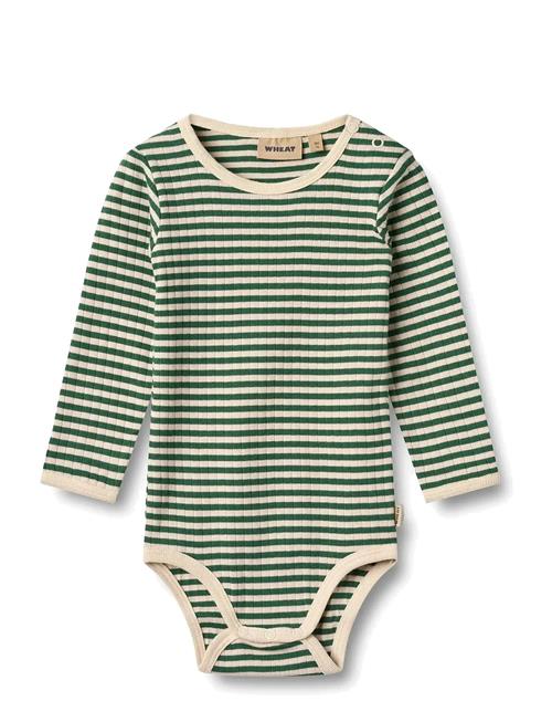 Body L/S Berti Wheat Green