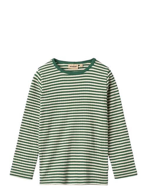 T-Shirt L/S Stig Wheat Green