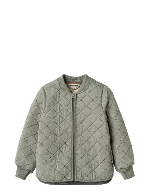 Thermo Jacket Loui Wheat Grey