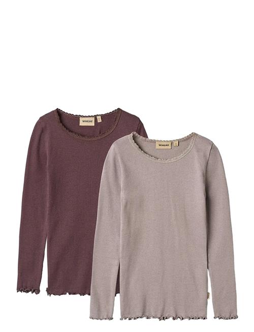 2 Rib T-Shirt L/S Reese Wheat Pink