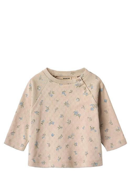 T-Shirt L/S Darrin Wheat Beige